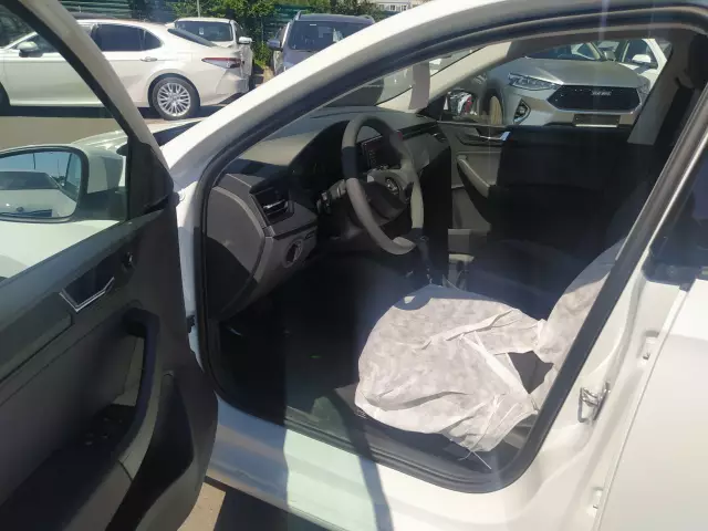 Skoda Rapid 2020
